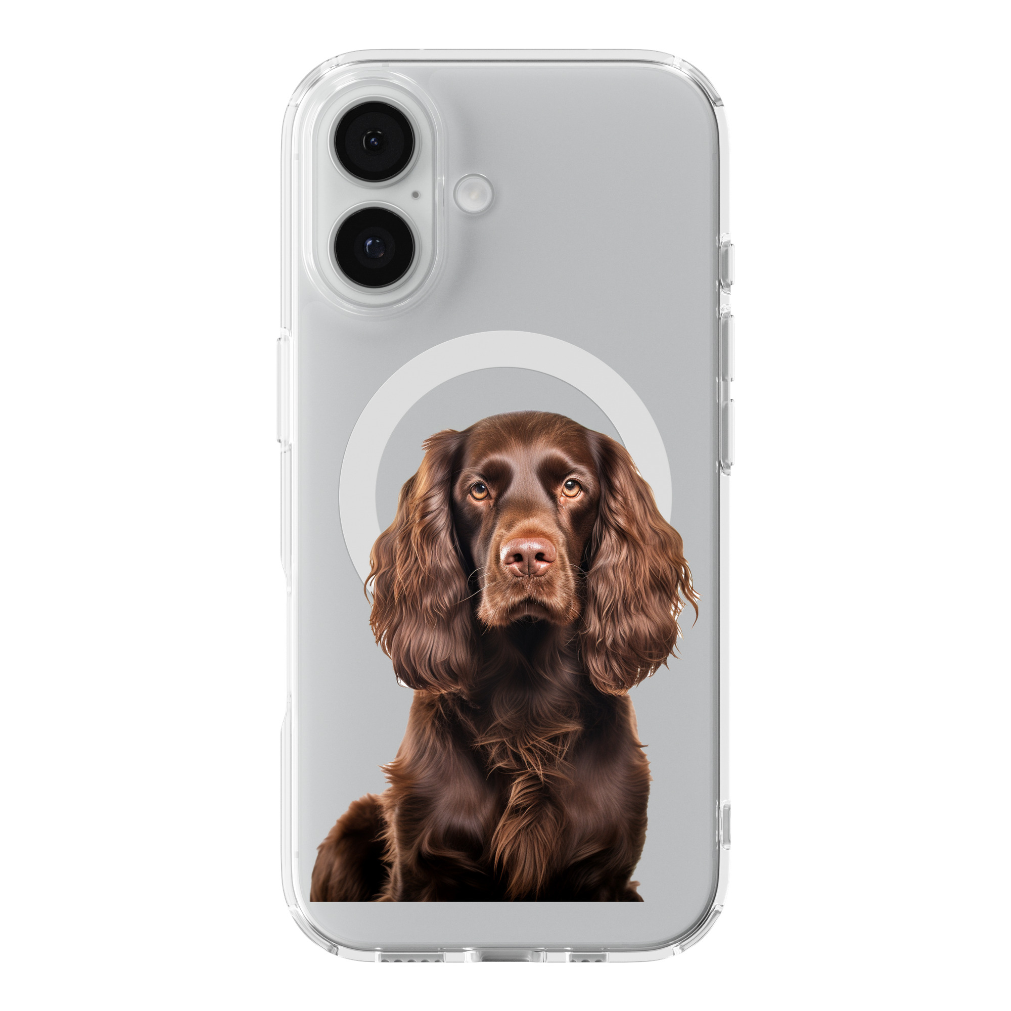 DistinctInk Boykin Spaniel Clear MagSafe Case for iPhone 18 & 17 Series