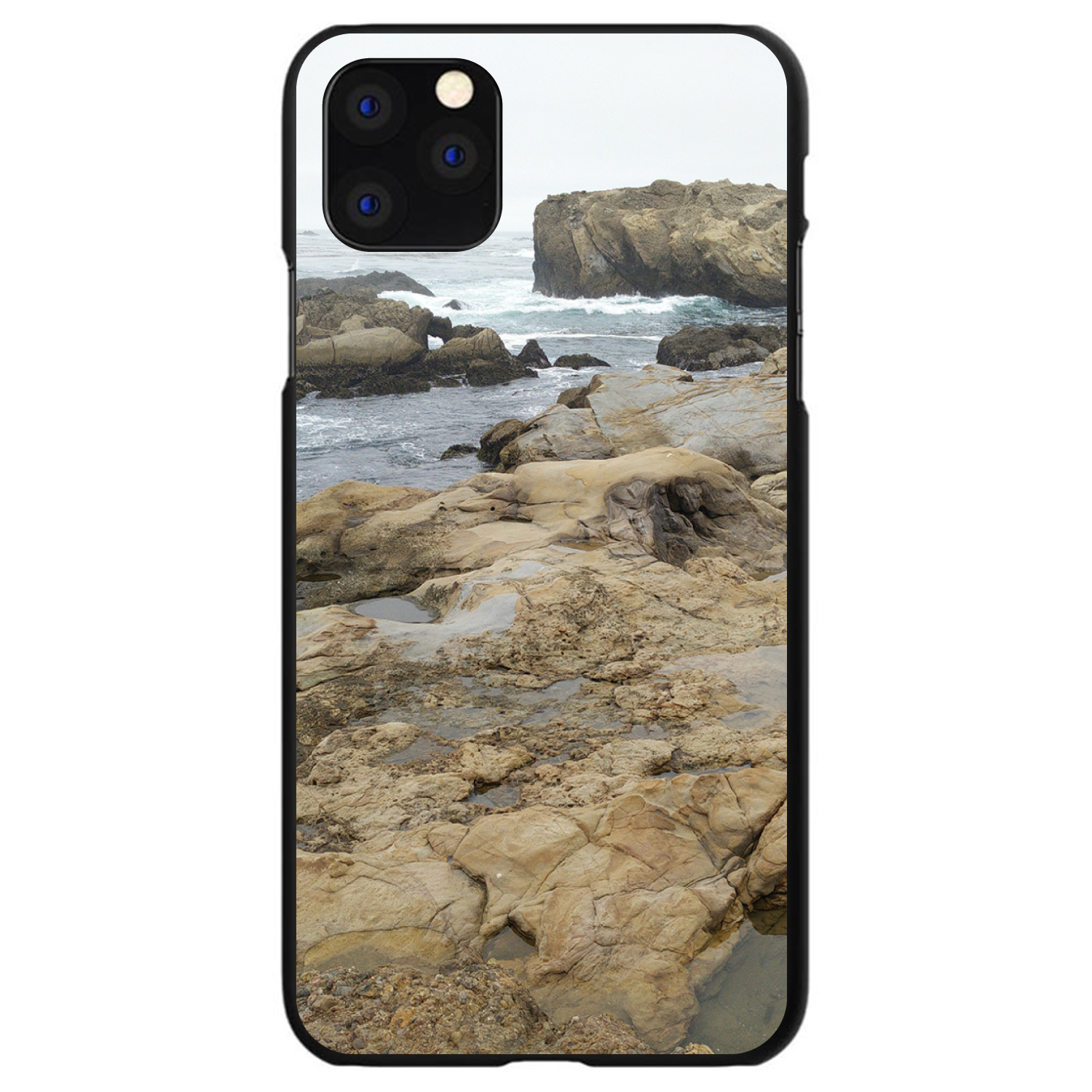 Funda Rígida para iPhone/Samsung Galaxy Point Lobos Reserve - Imagen 11 de 38