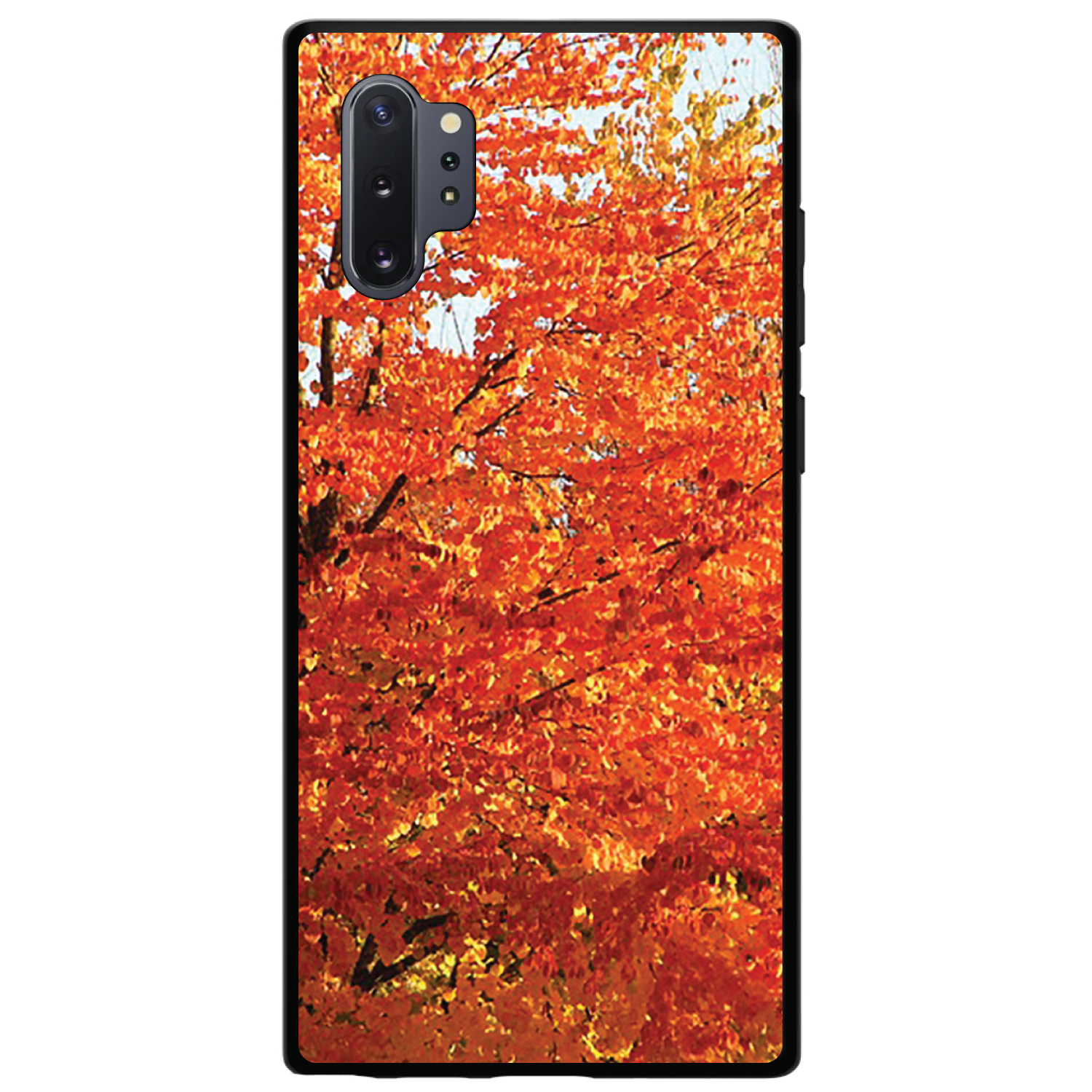 Hard Case Cover for Samsung Galaxy Note Orange Autumn Leaves - Picture 5 of 7